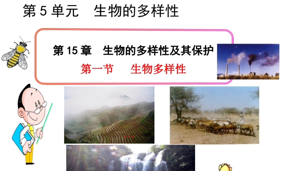 八年级生物上册 15.1 生物多样性课件 （新版）苏教版-（新版）苏教版初中八年级上册生物课件