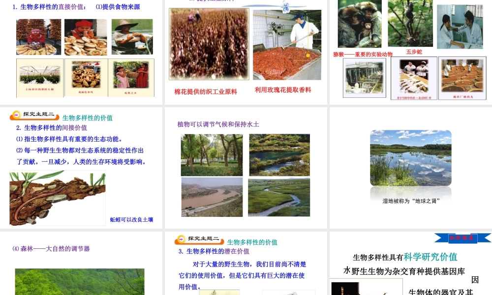 八年级生物上册 15.1 生物多样性课件 （新版）苏教版-（新版）苏教版初中八年级上册生物课件