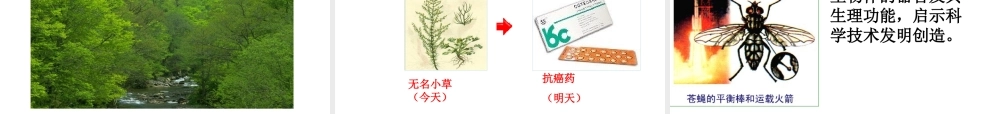 八年级生物上册 15.1 生物多样性课件 （新版）苏教版-（新版）苏教级上册生物课件