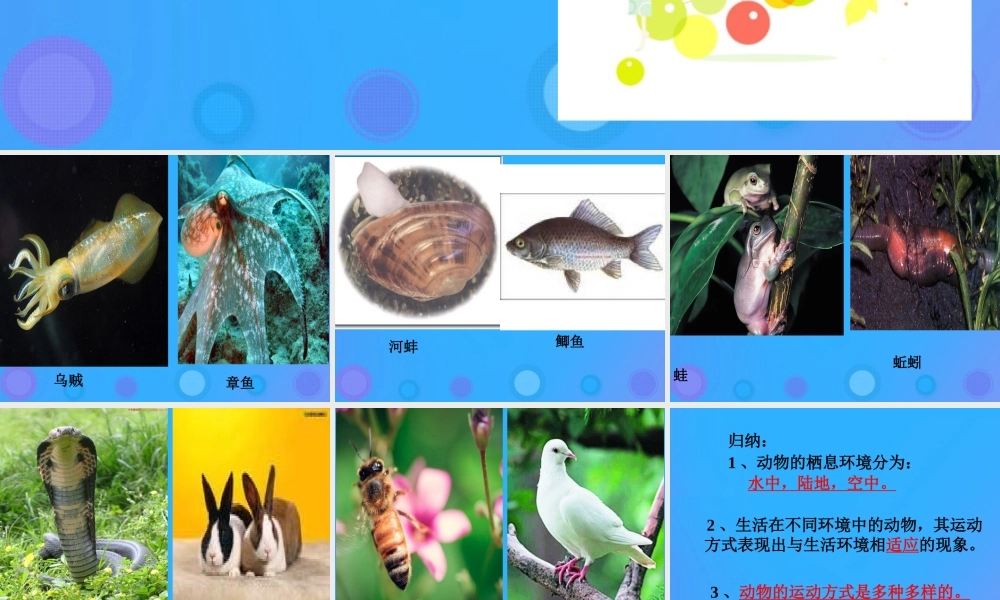 八年级生物上册 15.1《动物运动的方式》课件 （新版）北师大版-（新版）北师大版初中八年级上册生物课件