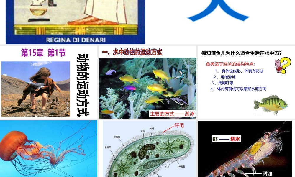 八年级生物上册 15.1《动物运动的方式》课件1 （新版）北师大版-（新版）北师大版初中八年级上册生物课件