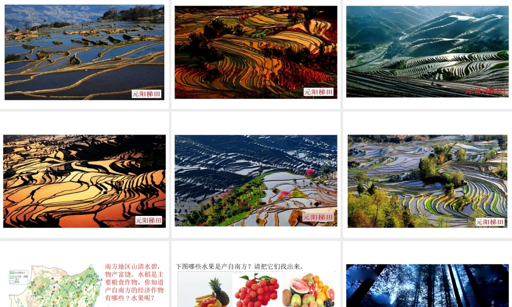 八年级地理下册 第七章 第一节 南方地区的自然特征与农业课件 新人教版-新人教版初中八年级下册地理课件
