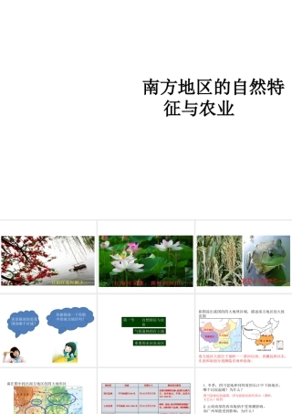 八年级地理下册 第七章 第一节 南方地区的自然特征与农业课件 新人教版-新人教版初中八年级下册地理课件