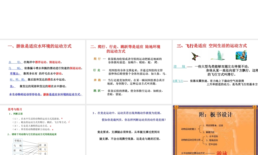 八年级生物上册 15.1《动物运动的方式》课件3 （新版）北师大版-（新版）北师大版初中八年级上册生物课件