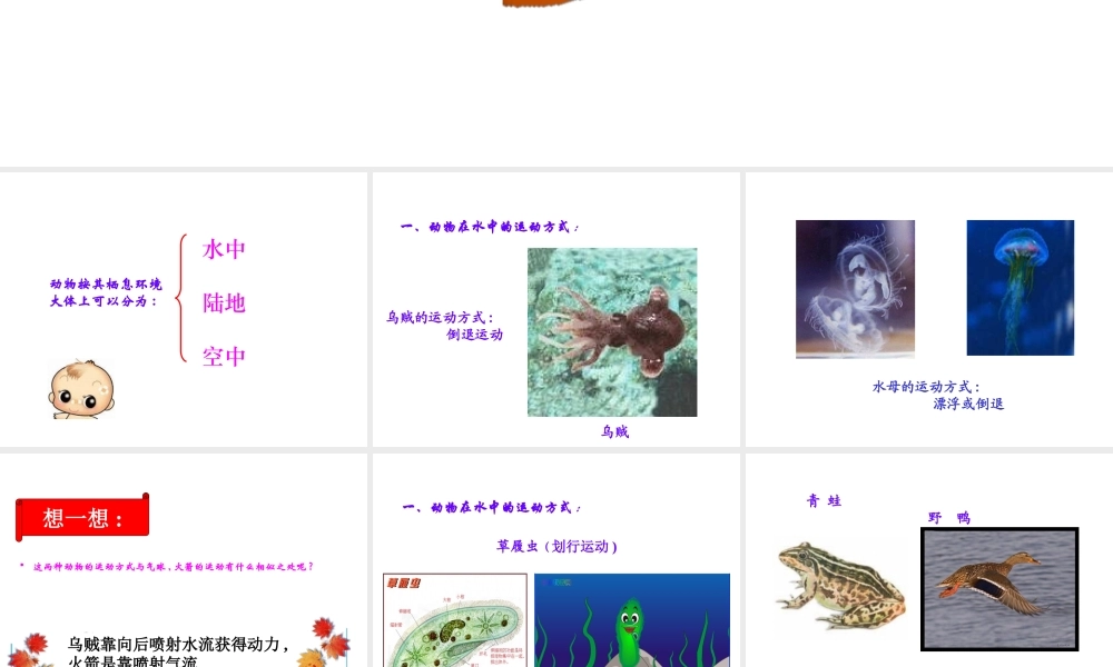 八年级生物上册 15.1《动物运动的方式》课件4 （新版）北师大版-（新版）北师大版初中八年级上册生物课件