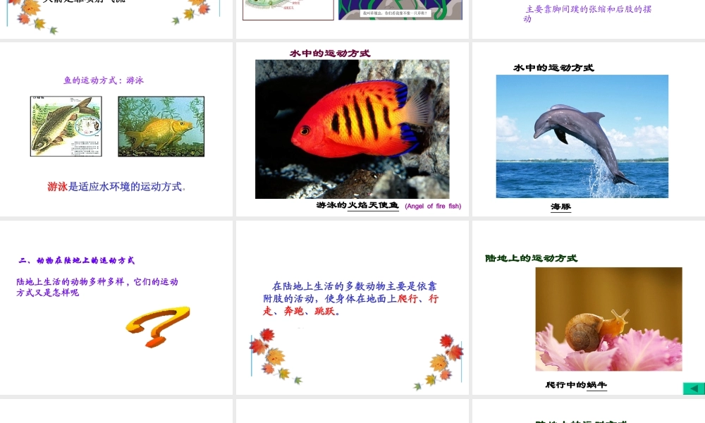 八年级生物上册 15.1《动物运动的方式》课件4 （新版）北师大版-（新版）北师大级上册生物课件