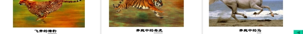 八年级生物上册 15.1《动物运动的方式》课件4 （新版）北师大版-（新版）北师大级上册生物课件
