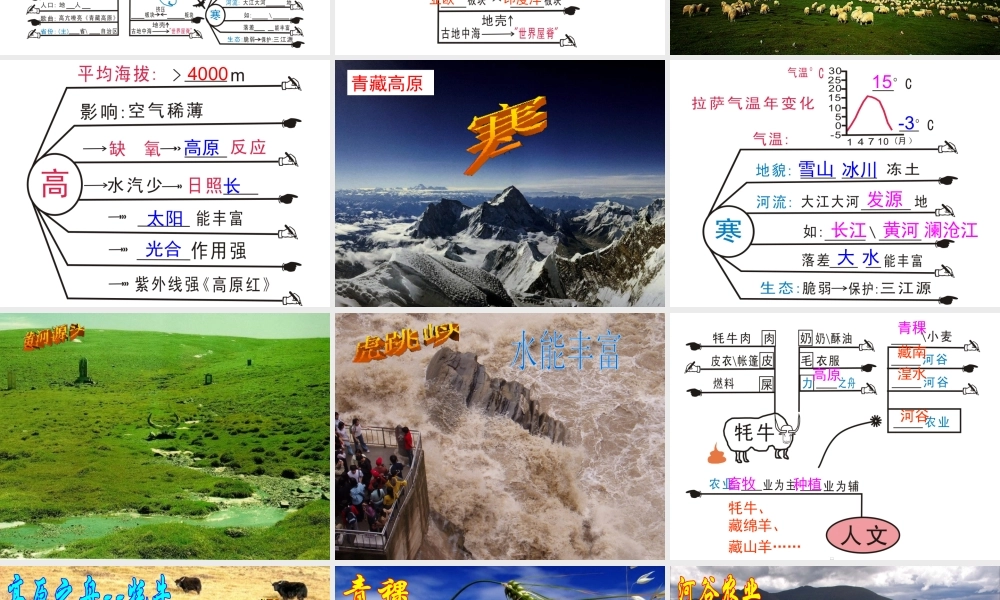 八年级地理下册 第五章 第二节《北方地区和南方地区》课件 新人教版