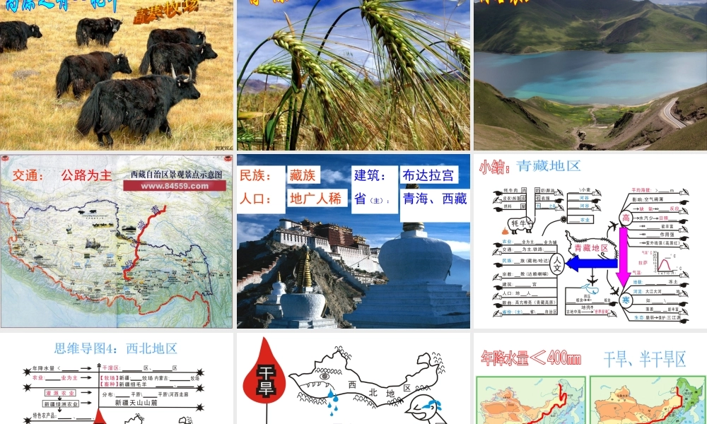 八年级地理下册 第五章 第二节《北方地区和南方地区》课件 新人教版