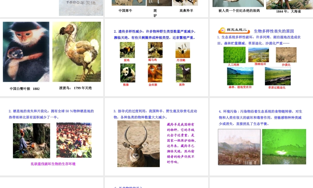 八年级生物上册 15.2 保护生物多样性的艰巨使命课件 （新版）苏教版-（新版）苏教版初中八年级上册生物课件