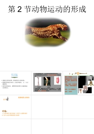 八年级生物上册 15.2 动物运动的形成课件 （新版）北师大版-（新版）北师大版初中八年级上册生物课件