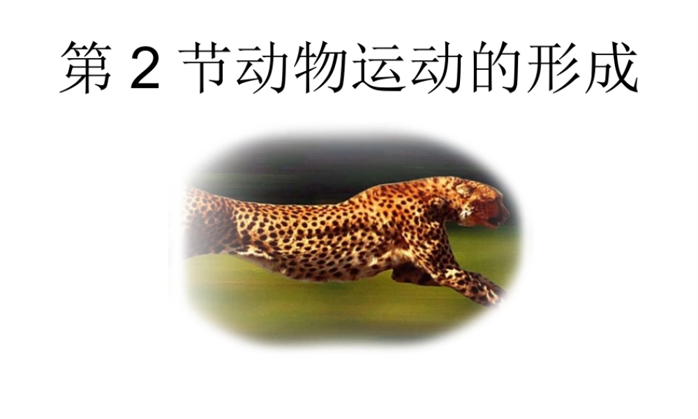 八年级生物上册 15.2 动物运动的形成课件 （新版）北师大版-（新版）北师大级上册生物课件