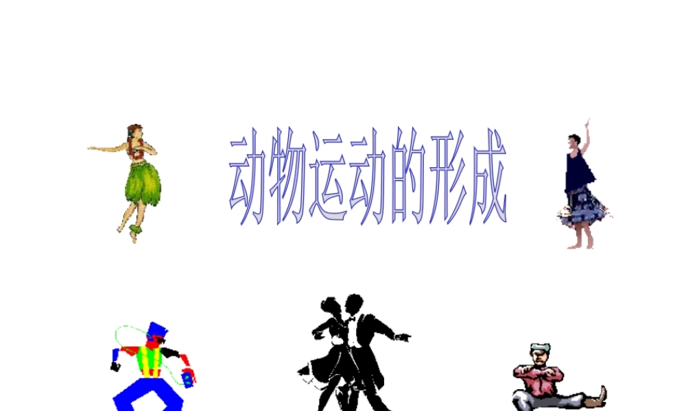 八年级生物上册 15.2 动物运动的形成课件 北师大版