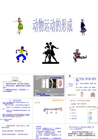 八年级生物上册 15.2 动物运动的形成课件 北师大版