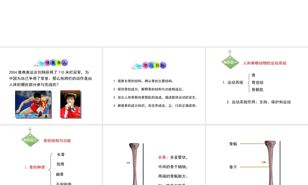 八年级生物上册 15.2 动物运动的形成课件（1）（新版）北师大版-（新版）北师大版初中八年级上册生物课件