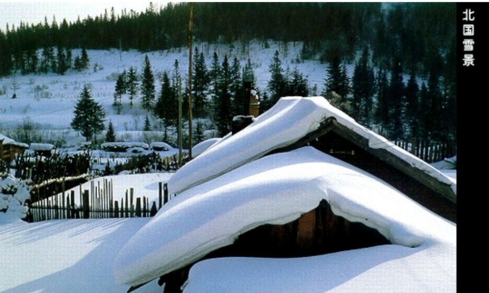 八年级地理下册 第六单元 第二节“白山黑水”—东北三省课件 八下 新人教版