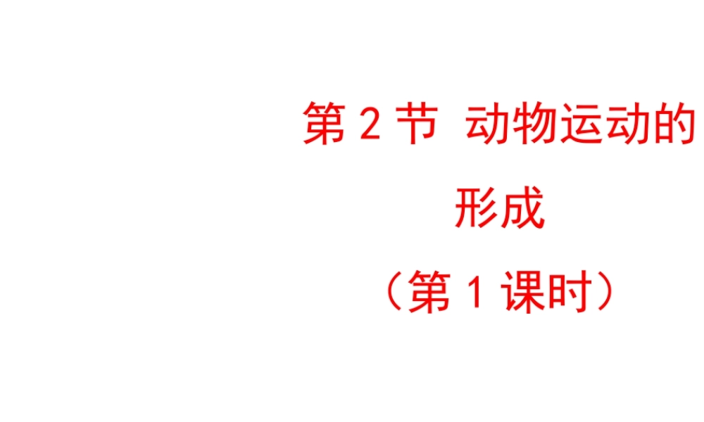 八年级生物上册 15.2 动物运动的形成课件（1）（新版）北师大版-（新版）北师大级上册生物课件
