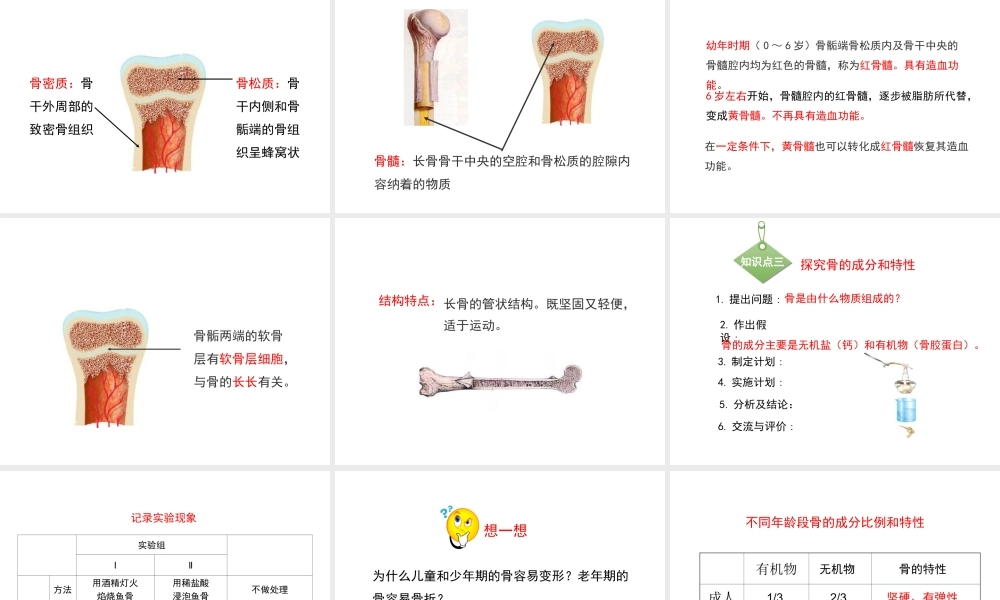 八年级生物上册 15.2 动物运动的形成课件（1）（新版）北师大版-（新版）北师大级上册生物课件