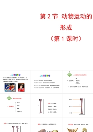 八年级生物上册 15.2 动物运动的形成课件（1）（新版）北师大版-（新版）北师大级上册生物课件