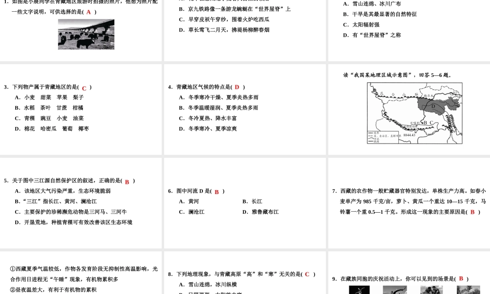 八年级地理下册 第五章 第三节 西北地区和青藏地区（第2课时）复习课件 （新版）湘教版-（新版）湘教版初中八年级下册地理课件