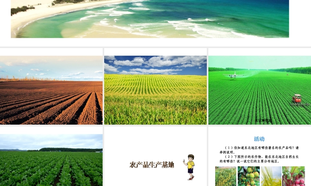 八年级地理下册 第六单元 第一节 东部地区的地理位置与自然环境课件 （新版）湘教版