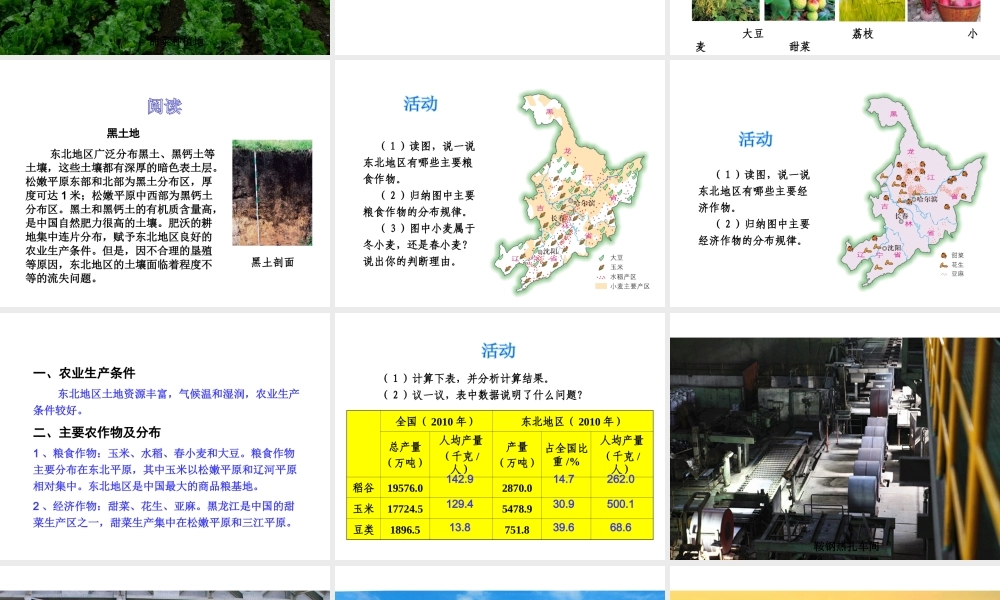 八年级地理下册 第六单元 第一节 东部地区的地理位置与自然环境课件 （新版）湘教版