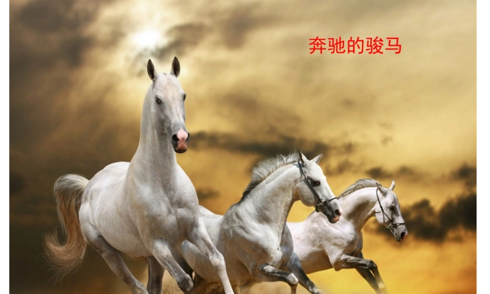 八年级生物上册 15.2 动物运动的形成课件（2）（新版）北师大版-（新版）北师大级上册生物课件
