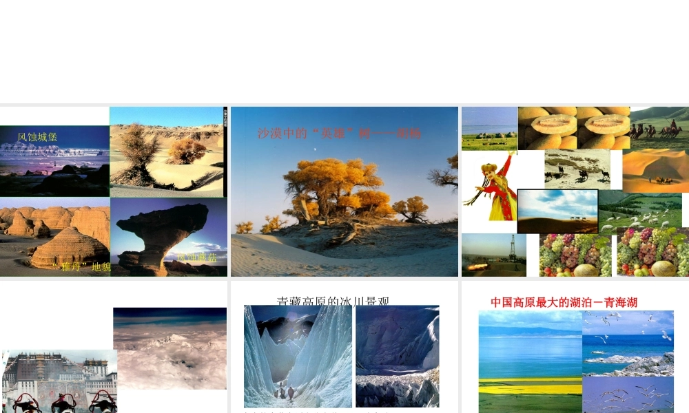 八年级地理下册 第五章 第三节 西北地区和青藏地区复习课件（新版）湘教版-（新版）湘教版初中八年级下册地理课件