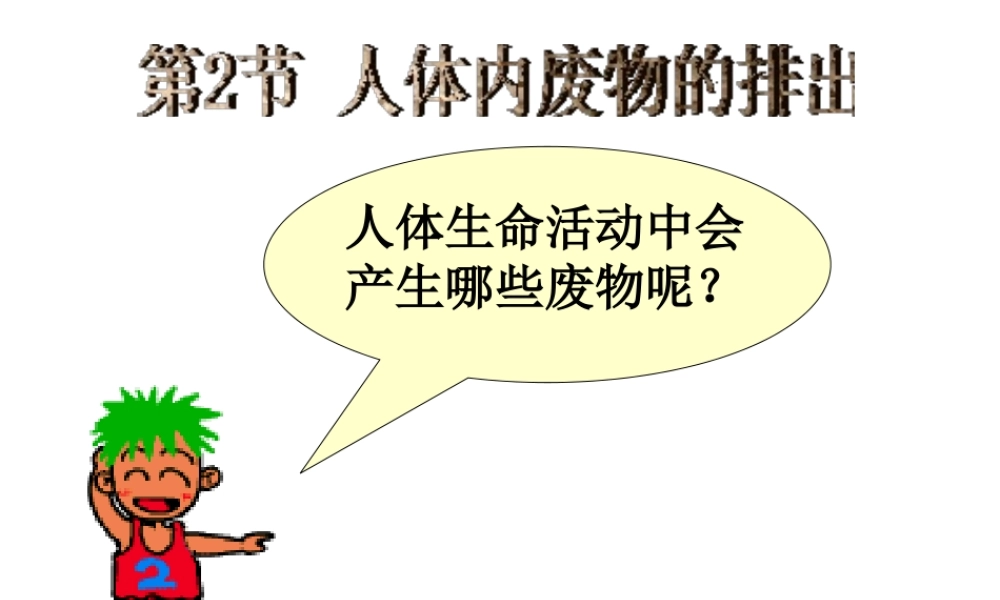 八年级生物上册 15.2 人体内废物的排出教学课件 （新版）苏科版-人教版初中八年级上册生物课件