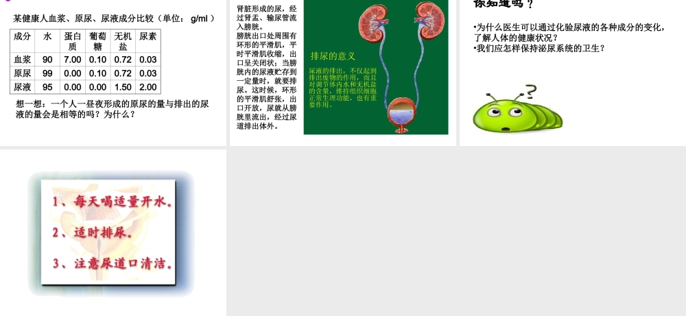 八年级生物上册 15.2 人体内废物的排出教学课件 （新版）苏科版-人教版初中八年级上册生物课件