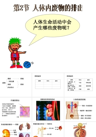 八年级生物上册 15.2 人体内废物的排出教学课件 （新版）苏科版-人教级上册生物课件