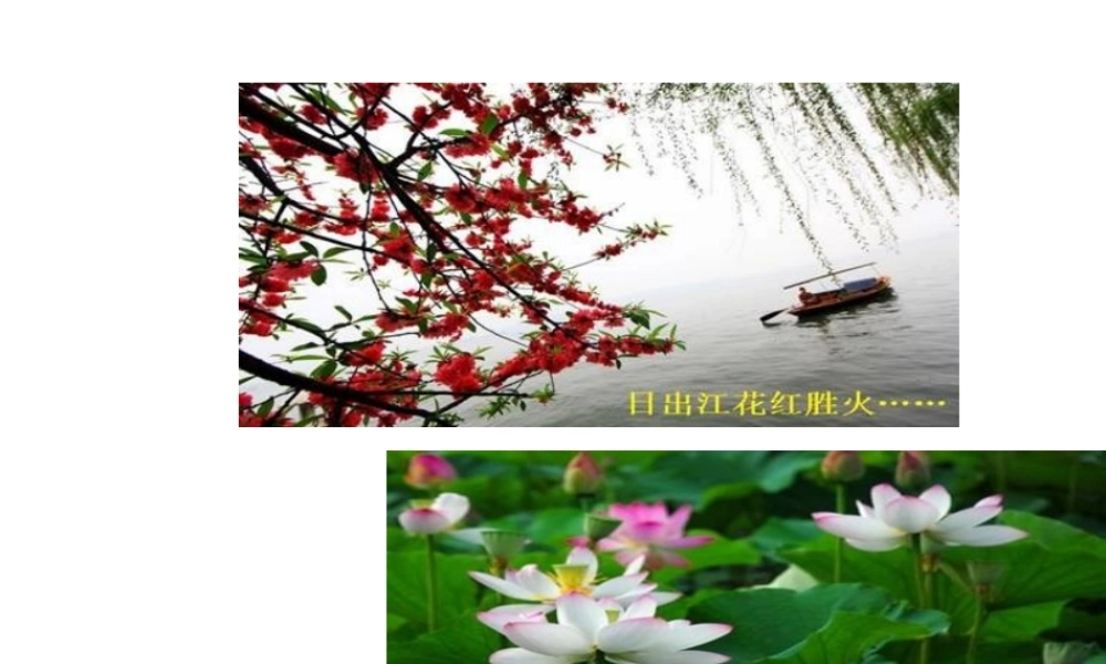 八年级地理下册 第七章 第一节 自然特征与农业教学课件 （新版）新人教版-（新版）新人教版初中八年级下册地理课件