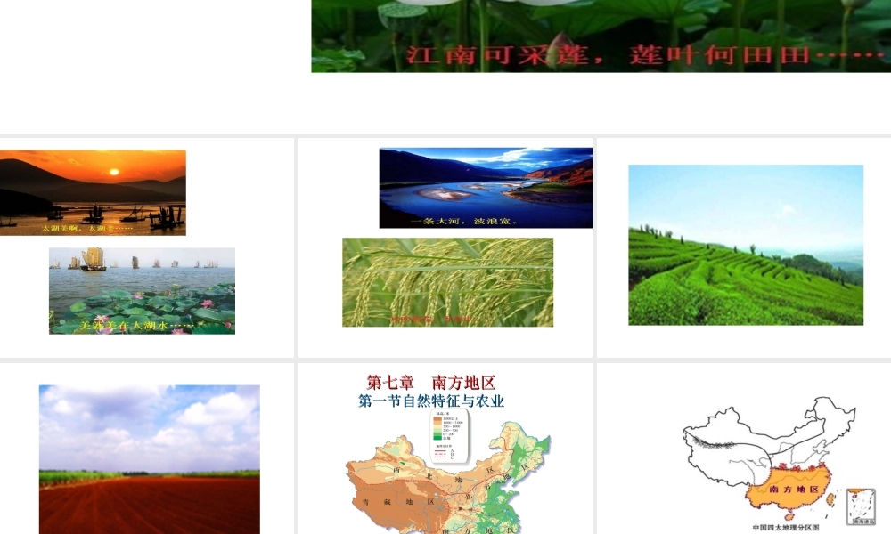 八年级地理下册 第七章 第一节 自然特征与农业教学课件 （新版）新人教版-（新版）新人教版初中八年级下册地理课件