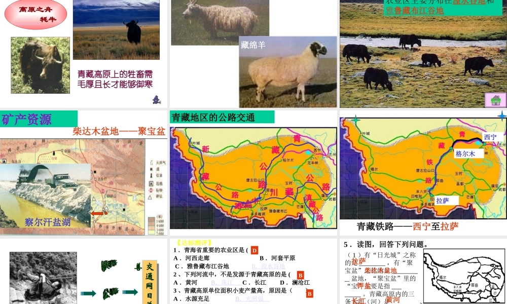 八年级地理下册 第五章 第三节 西北地区和青藏地区课件 （新版）湘教版