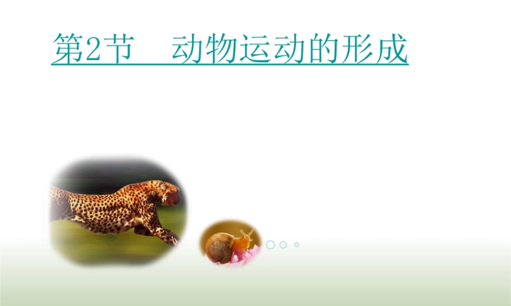 八年级生物上册 15.2《动物运动的形成》课件1 （新版）北师大版-（新版）北师大级上册生物课件