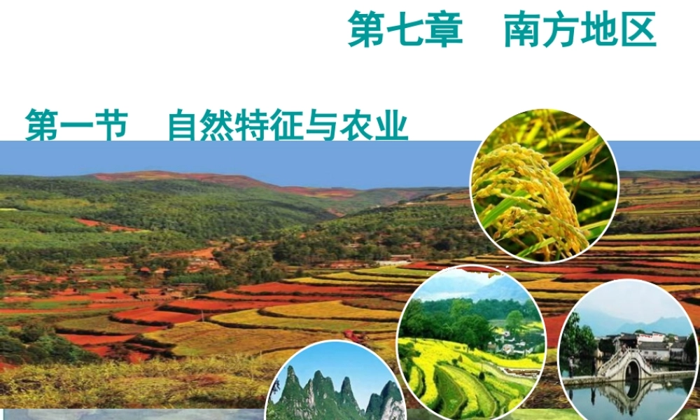 八年级地理下册 第七章 第一节 自然特征与农业课件 新人教版-新人教版初中八年级下册地理课件