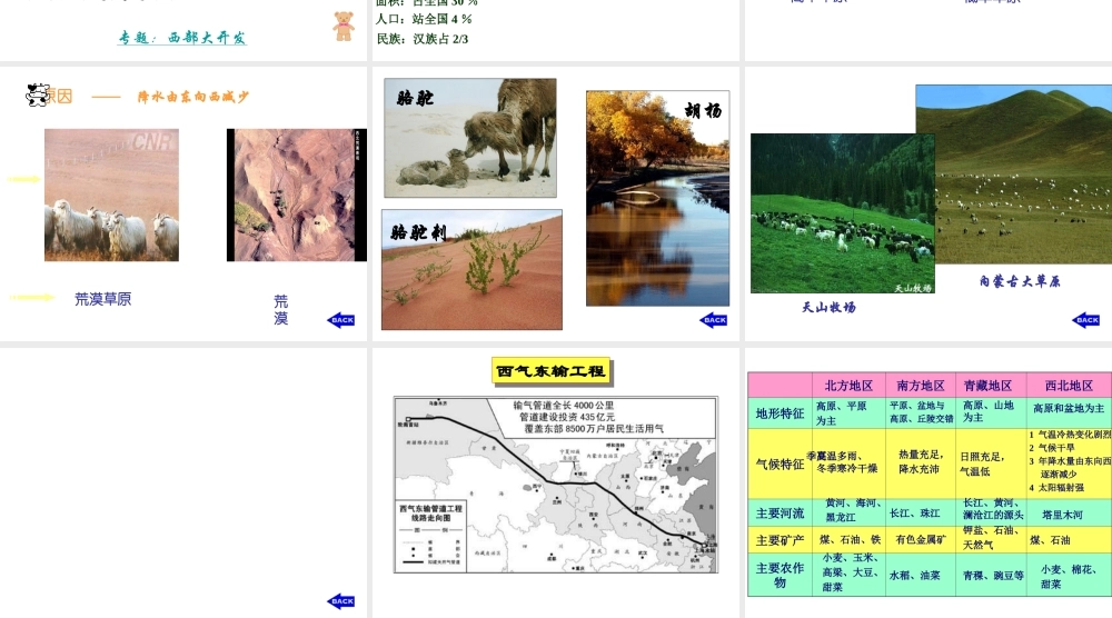 八年级地理下册 第五章 第三节 西北地区和青藏地区课件1 （新版）湘教版-（新版）湘教版初中八年级下册地理课件