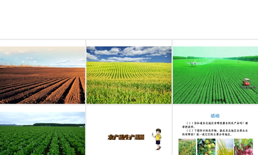 八年级地理下册《6.3 东北地区的产业分布》课件 （新版）湘教版-（新版）湘教版初中八年级下册地理课件