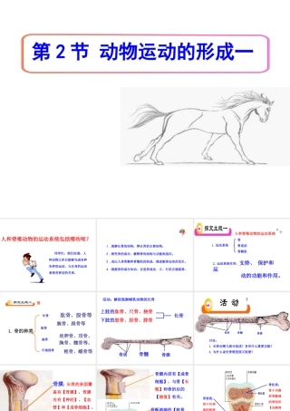 八年级生物上册 15.2《动物运动的形成》课件3 （新版）北师大版-（新版）北师大版初中八年级上册生物课件