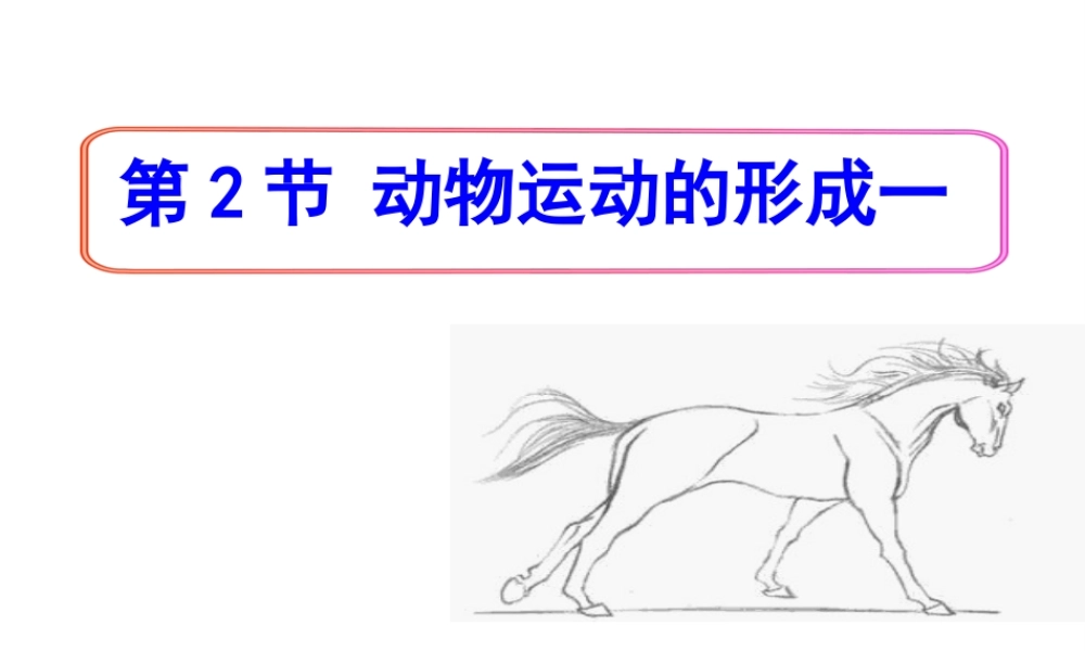 八年级生物上册 15.2《动物运动的形成》课件3 （新版）北师大版-（新版）北师大级上册生物课件