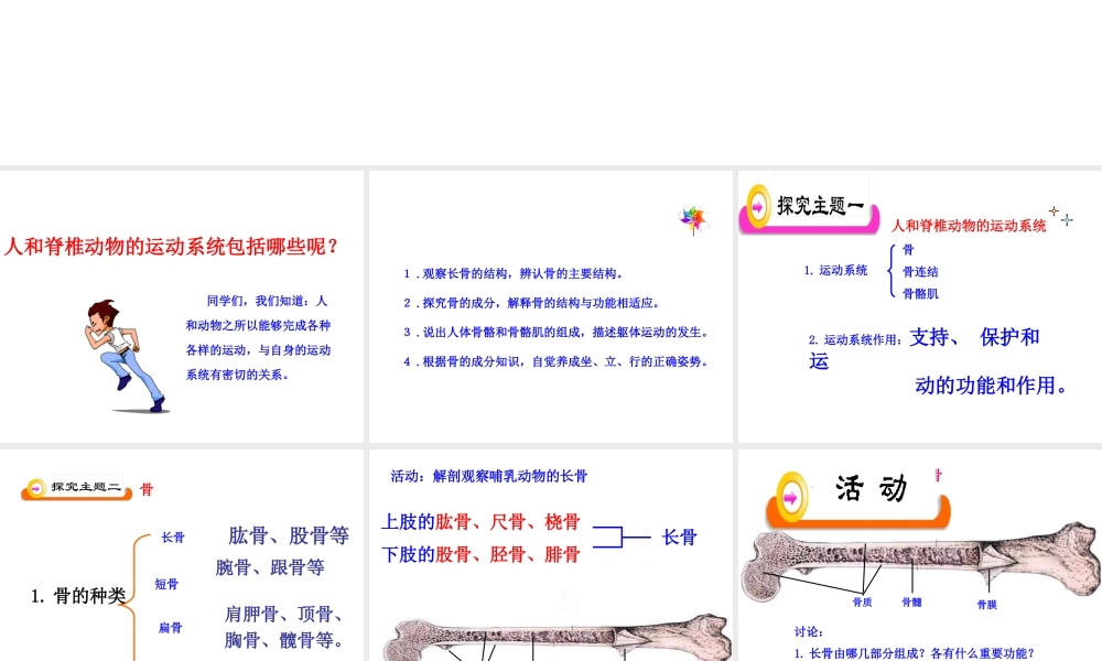 八年级生物上册 15.2《动物运动的形成》课件3 （新版）北师大版-（新版）北师大级上册生物课件