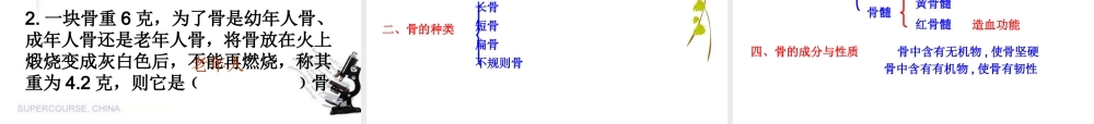 八年级生物上册 15.2《动物运动的形成》课件3 （新版）北师大版-（新版）北师大级上册生物课件