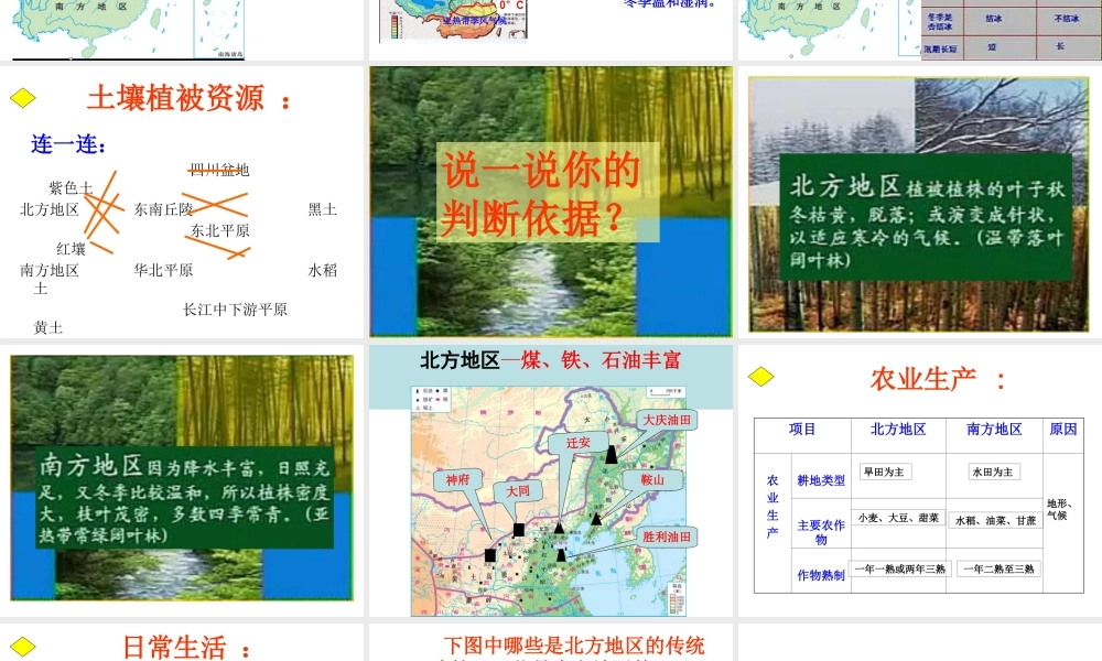 八年级地理下册 第七章 活动课 认识南方地区和北方地区的区域差异课件 商务星球版-商务星球版初中八年级下册地理课件