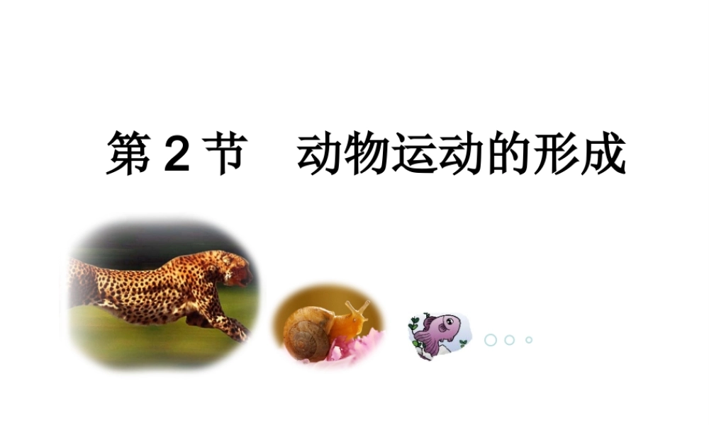 八年级生物上册 15.2《动物运动的形成》课件4 （新版）北师大版-（新版）北师大级上册生物课件