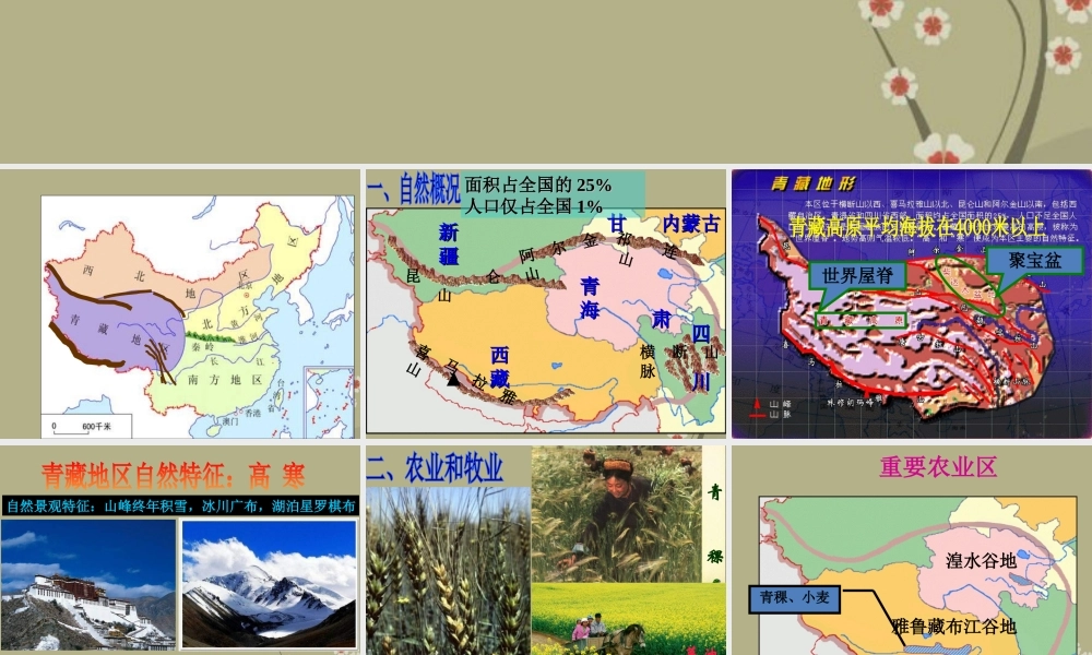 八年级地理下册 第五章 第三节 西北和青藏地区-青藏地区课件 新人教版