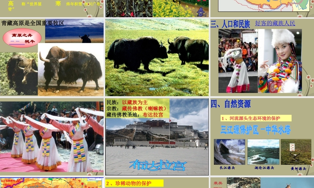 八年级地理下册 第五章 第三节 西北和青藏地区-青藏地区课件 新人教版