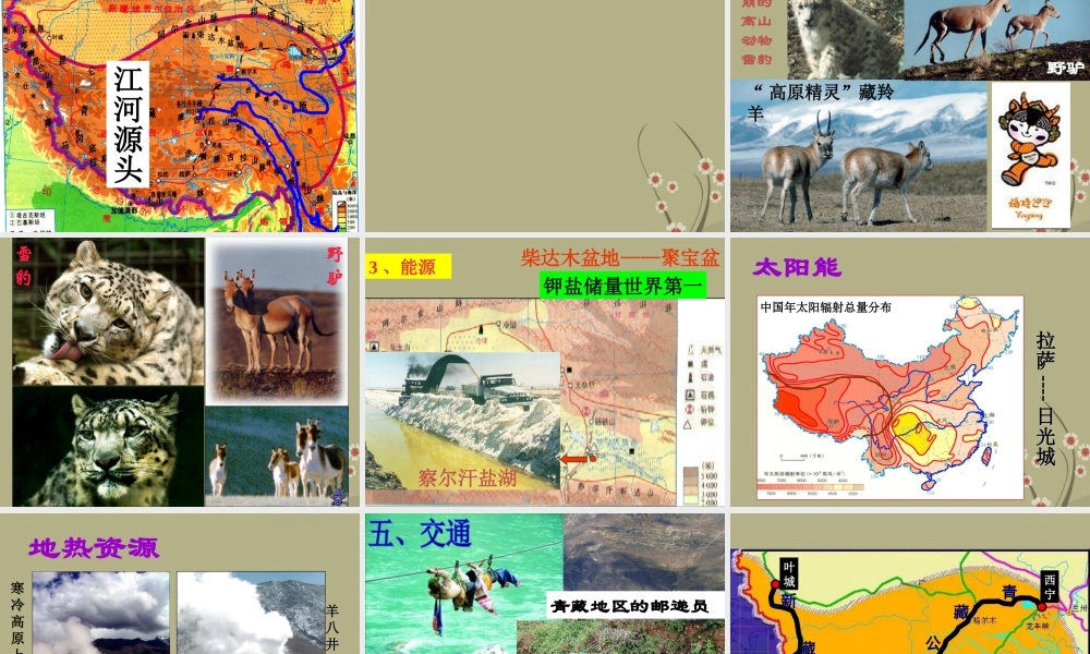 八年级地理下册 第五章 第三节 西北和青藏地区-青藏地区课件 新人教版