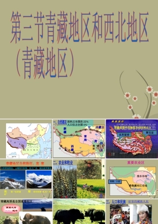 八年级地理下册 第五章 第三节 西北和青藏地区-青藏地区课件 新人教版