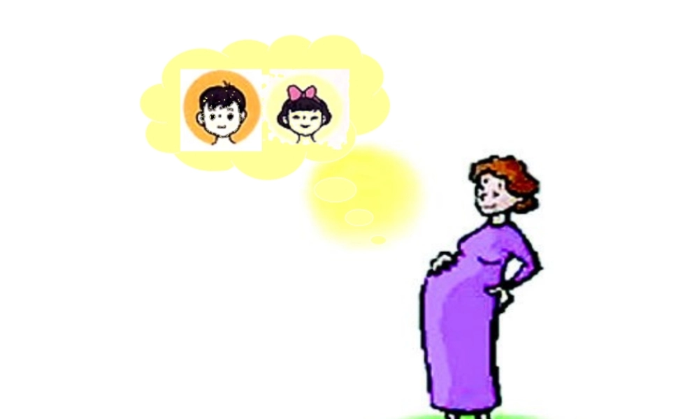 八年级生物上册 15.3人的性别决定课件1 苏教版