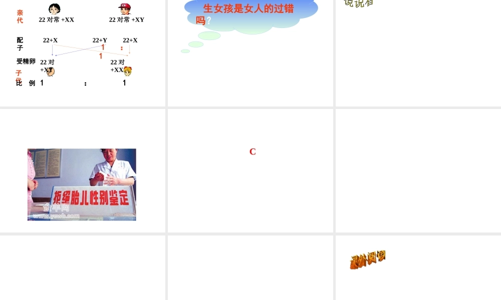 八年级生物上册 15.3人的性别决定课件1 苏教版